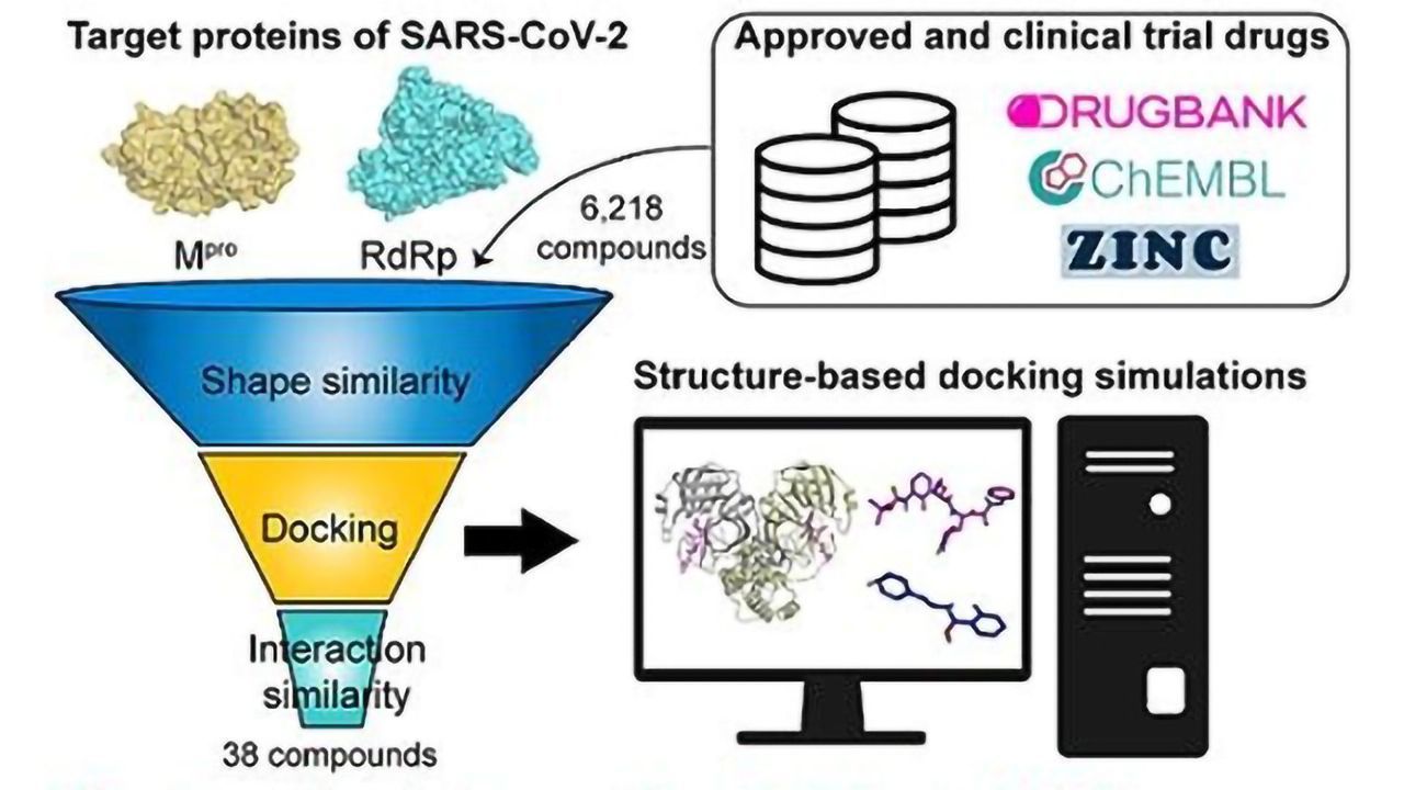 Drug Screen Reveals 7 Potential Inhibitors of SARS-CoV-2 Replication