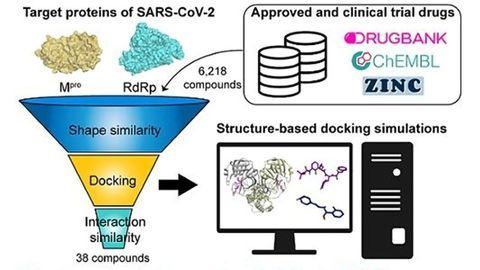 Drug Screen Reveals 7 Potential Inhibitors of SARS-CoV-2 Replication