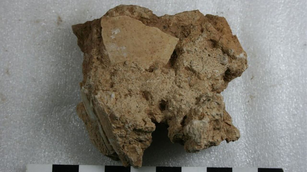 Ancient Ostrich Eggshell Reveals Our Ancestors Faced Extreme Climate Change