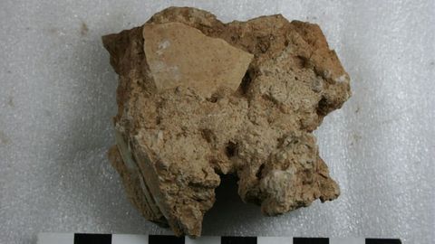 Ancient Ostrich Eggshell Reveals Our Ancestors Faced Extreme Climate Change