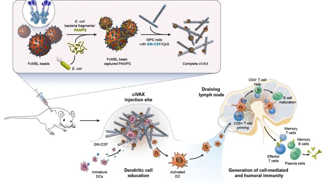 Are Biomaterial Vaccines on the Horizon?