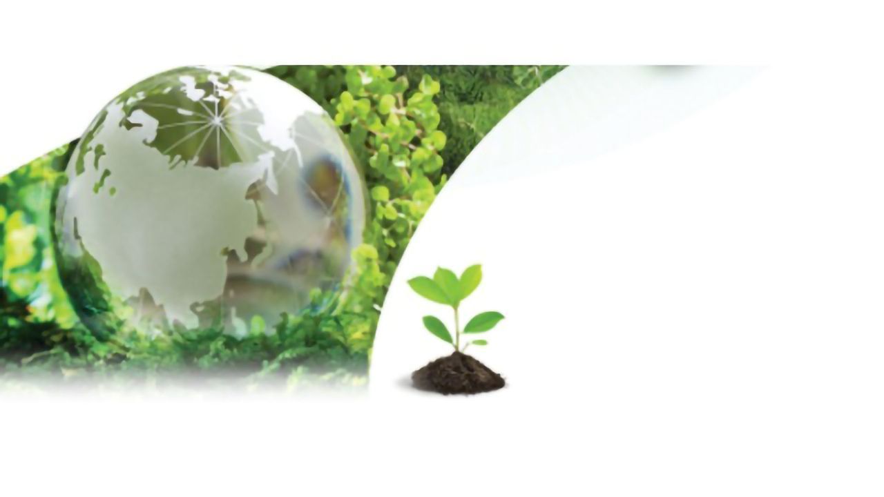Dioxin and Persistent Organic Pollutants Analysis