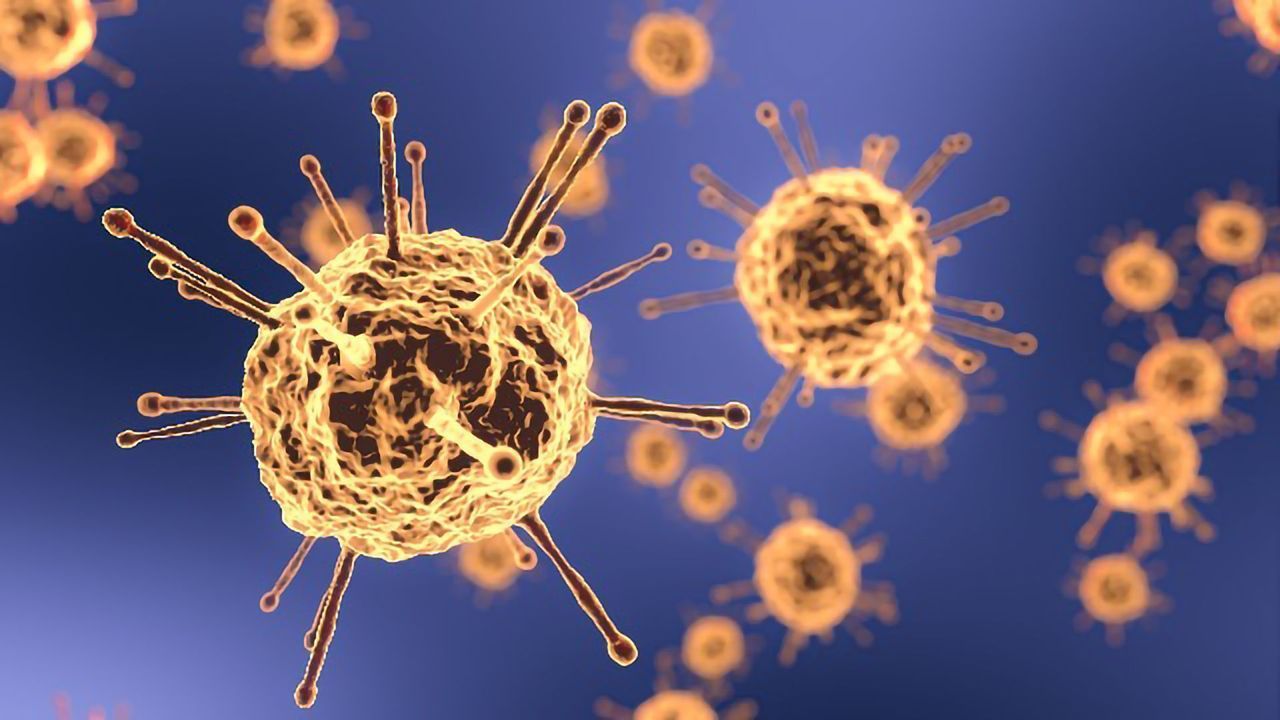 Stem Cells Can Use Same Method as Plants and Insects To Protect Against Viruses