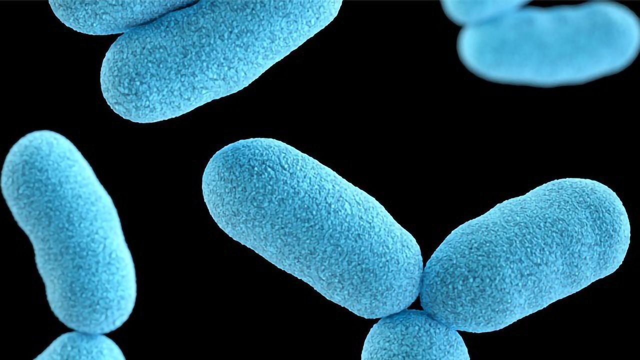 Bacterial Enzyme Blueprint Helps Drug Designers Discover Ways To Fight Infection
