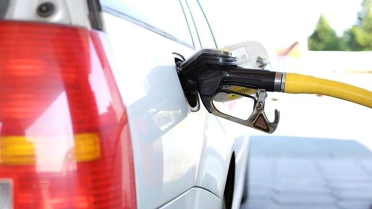 Energycane Yields More Biodiesel at Lower Cost Than Soybeans