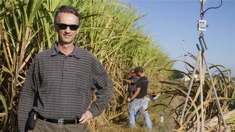 First Breeding of Sugar Cane Using CRISPR/Cas9