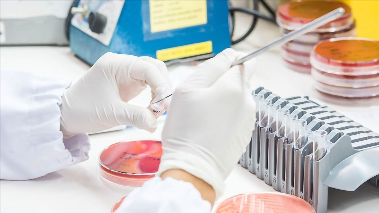 Bacteria Are Key to Vaginal Health