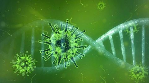 Mutational Similarities Between SARS-CoV-2 and Its Predecessors