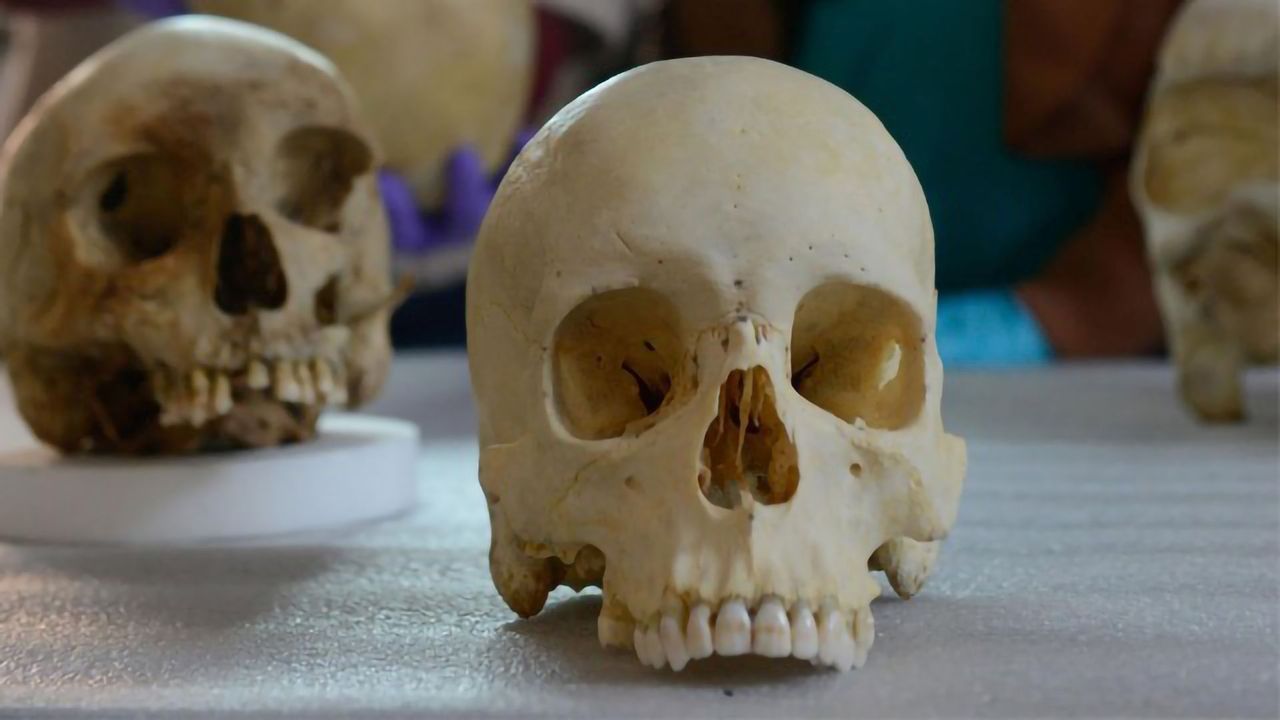 Replacement Needed for "Ancestry" in Forensics