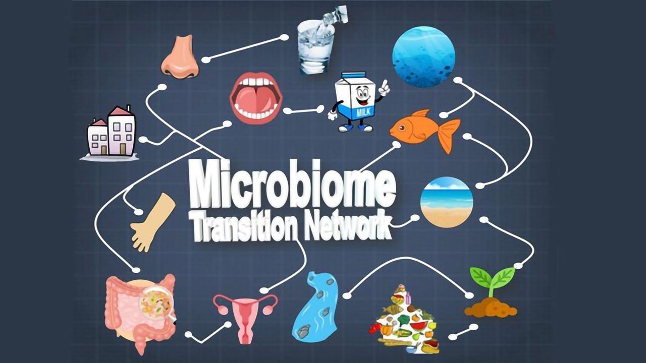 Connectivity of Global Microbiomes Explored