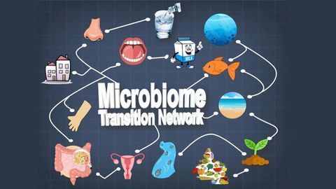 Connectivity of Global Microbiomes Explored