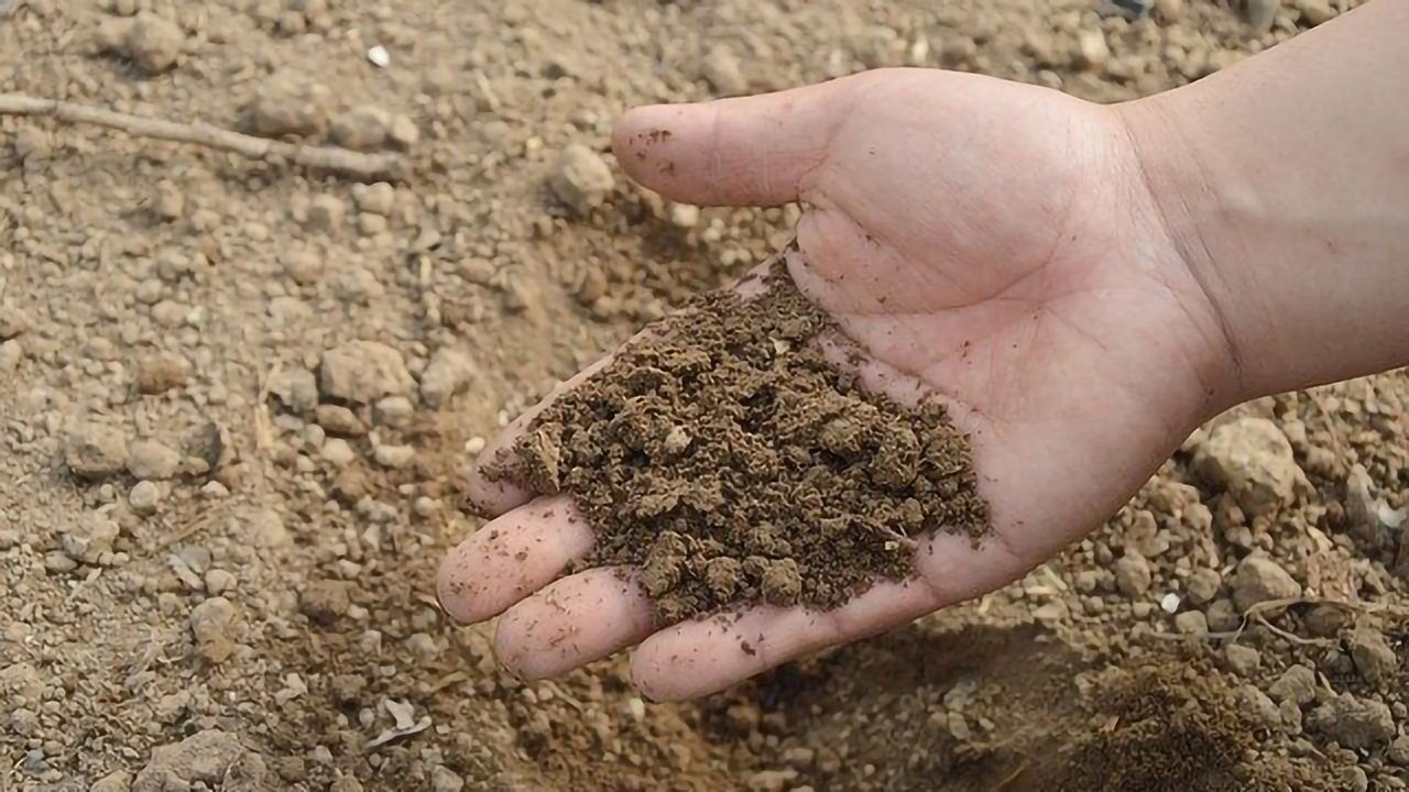 Unexpected Chemistry Discovery Could Help in Environmental Micropollutant Removal