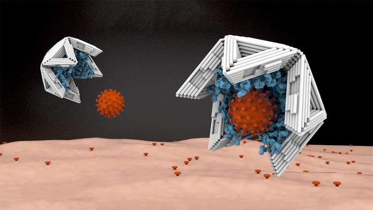 Nano-Capsules Could Trap and Disarm Viruses