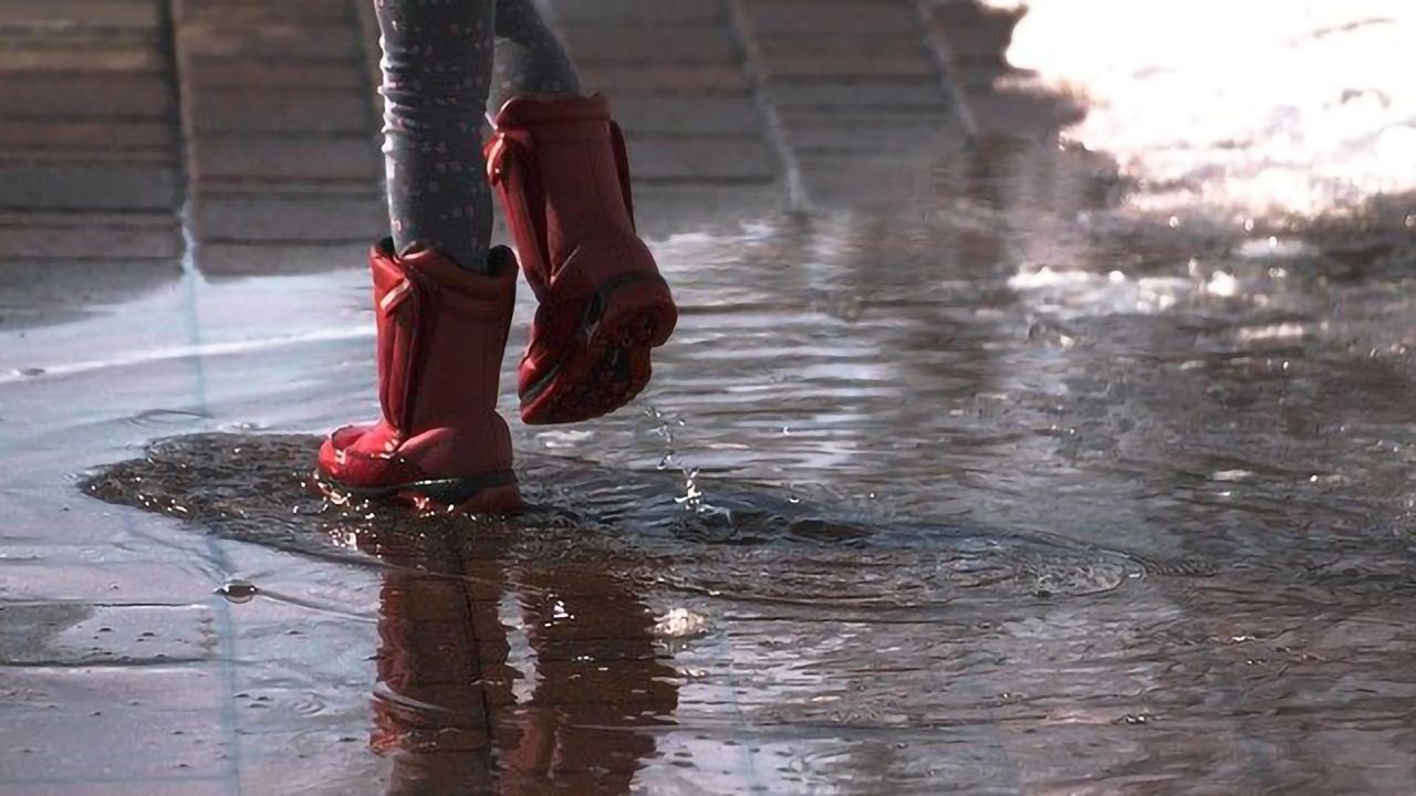 "Superbug" Spread in Urban Water From Human Waste