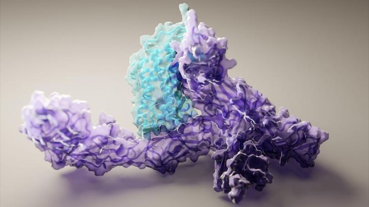 AI Can Compute Protein Structures in 10 Minutes