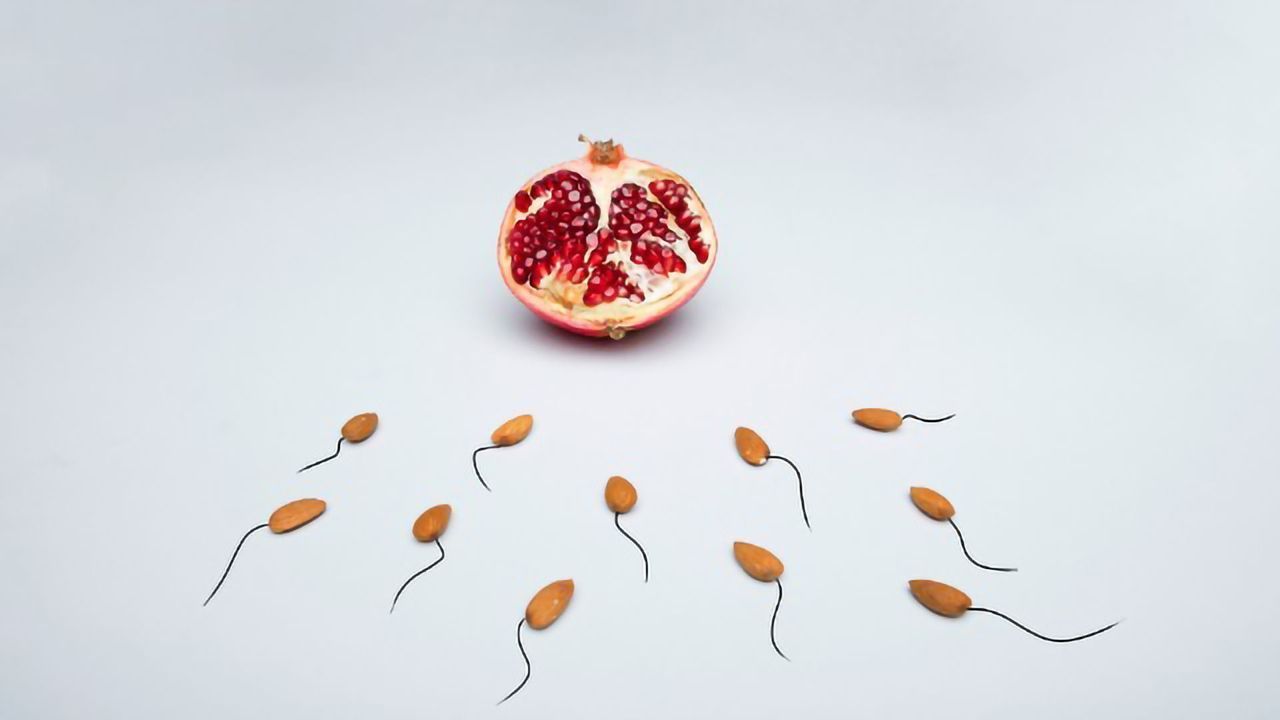 What Makes a Successful Sperm?