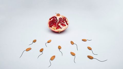 What Makes a Successful Sperm?