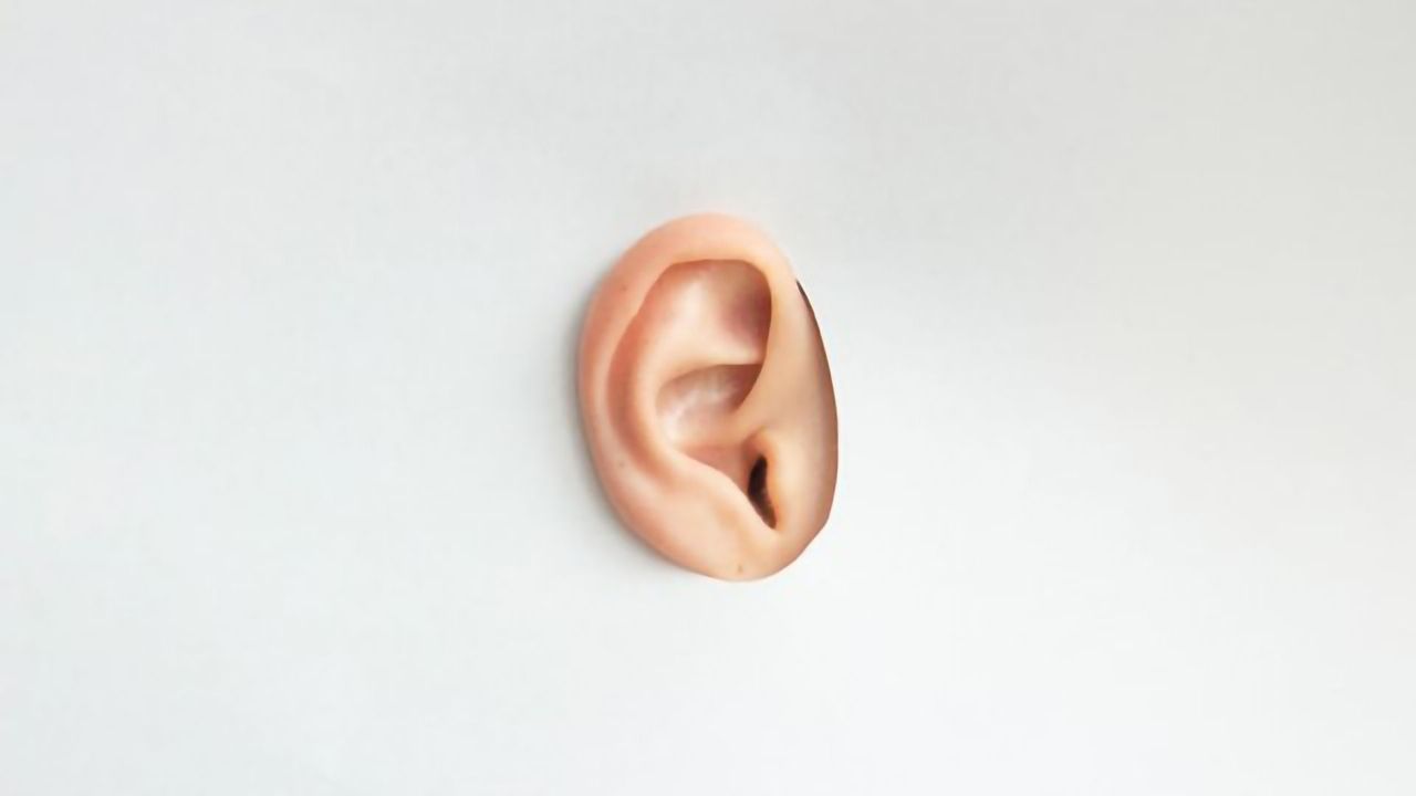 Antihypertension Drug Prevents Tumor-Induced Hearing Loss in Mouse Model