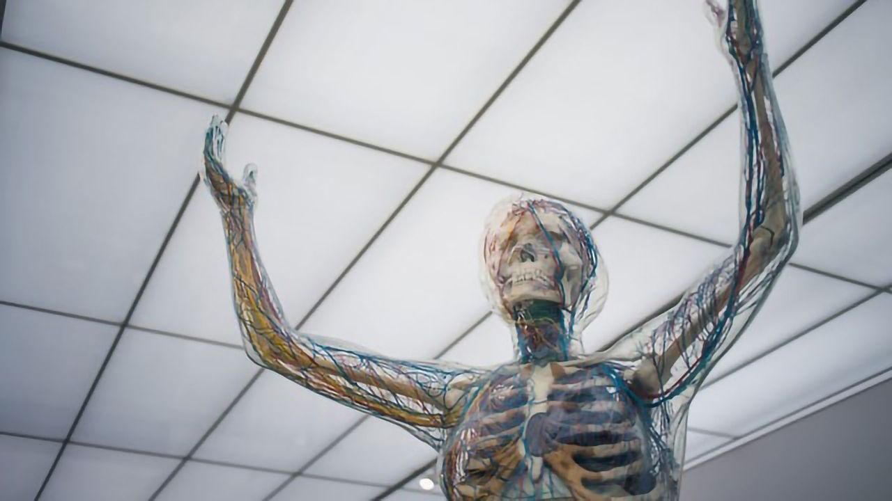 Test Detects Cancer Cells and Exposes Their Location