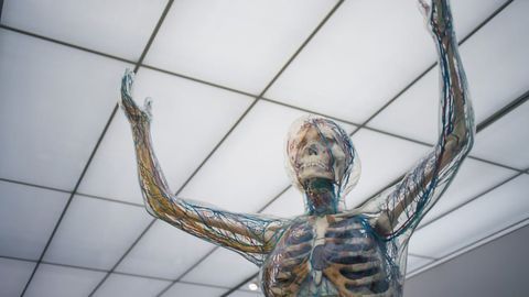 Test Detects Cancer Cells and Exposes Their Location