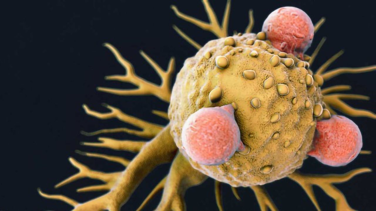Study Reveals Even Transient Chromosomal Mistakes Can Initiate Cancer