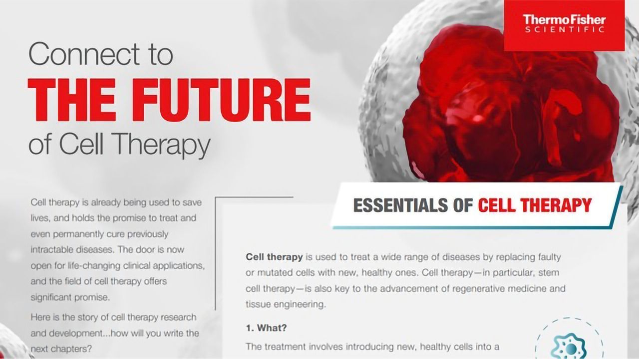 The Future of Cell Therapy
