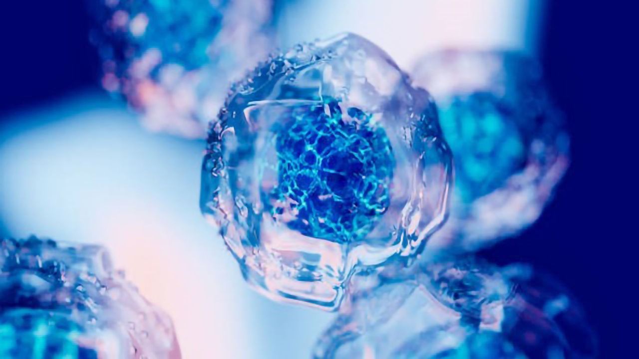 A Successful Journey to Cell Therapy Manufacturing: From Research and Development to Lot-Release