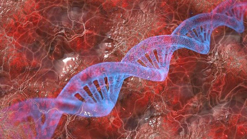 Identical Mutations Can Cause Different Types of Cancer content piece image