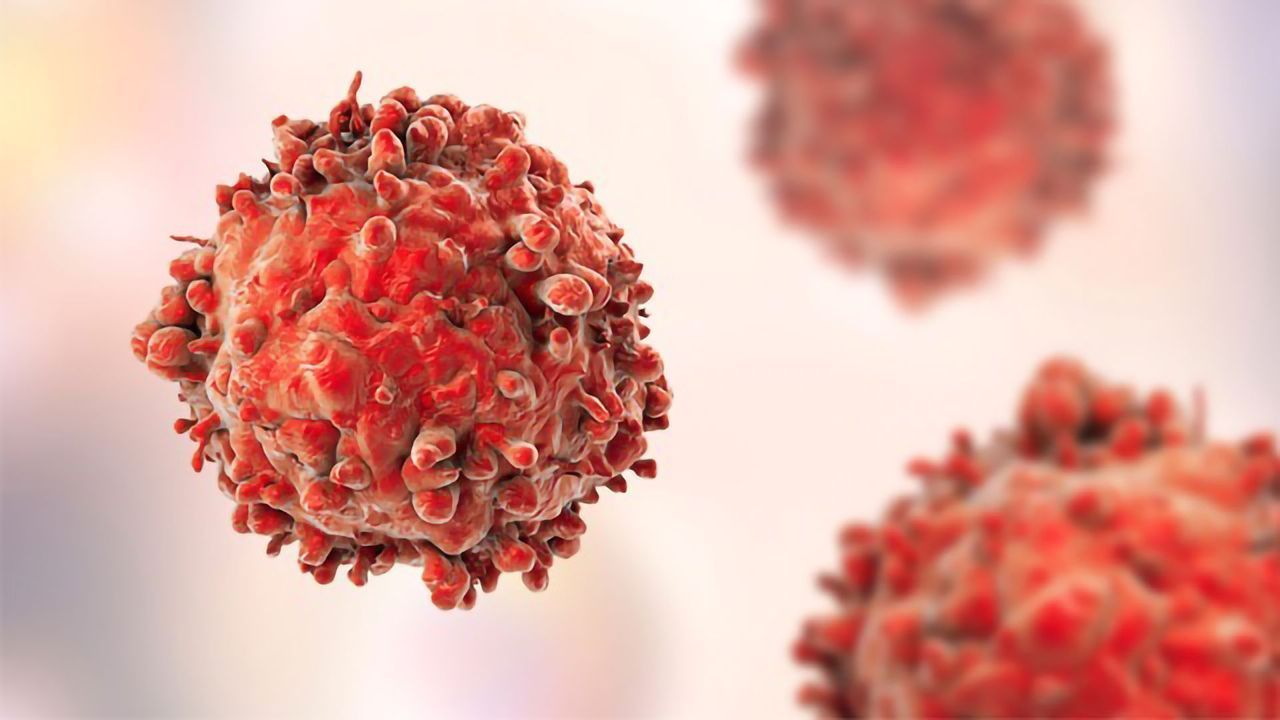 Exploiting Atomic Force Spectroscopy To Assess Chemotherapeutic Drug Effects in Cancer Cells
