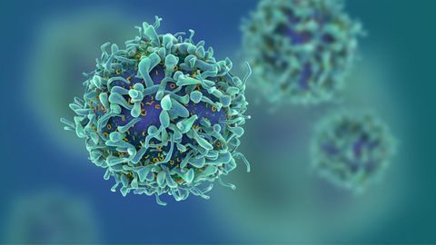 “Fine-Tuning” the Immune Response With Individual T-Cells