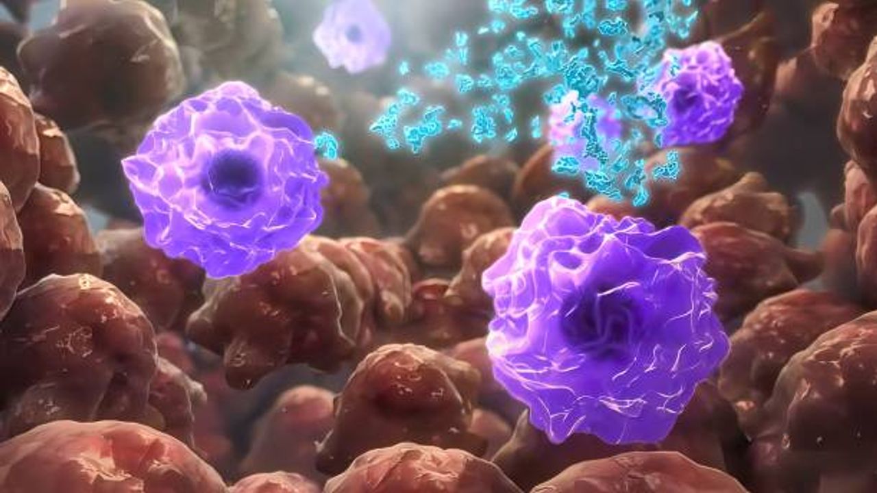 The Central Role of Immune Cell Metabolism in Building Next-Generation Cell Therapies