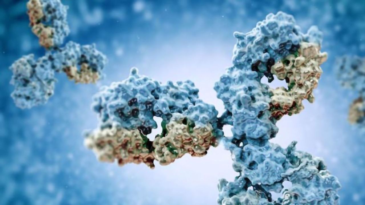 Convenient and Reliable Analysis of Antibody–Drug Conjugates