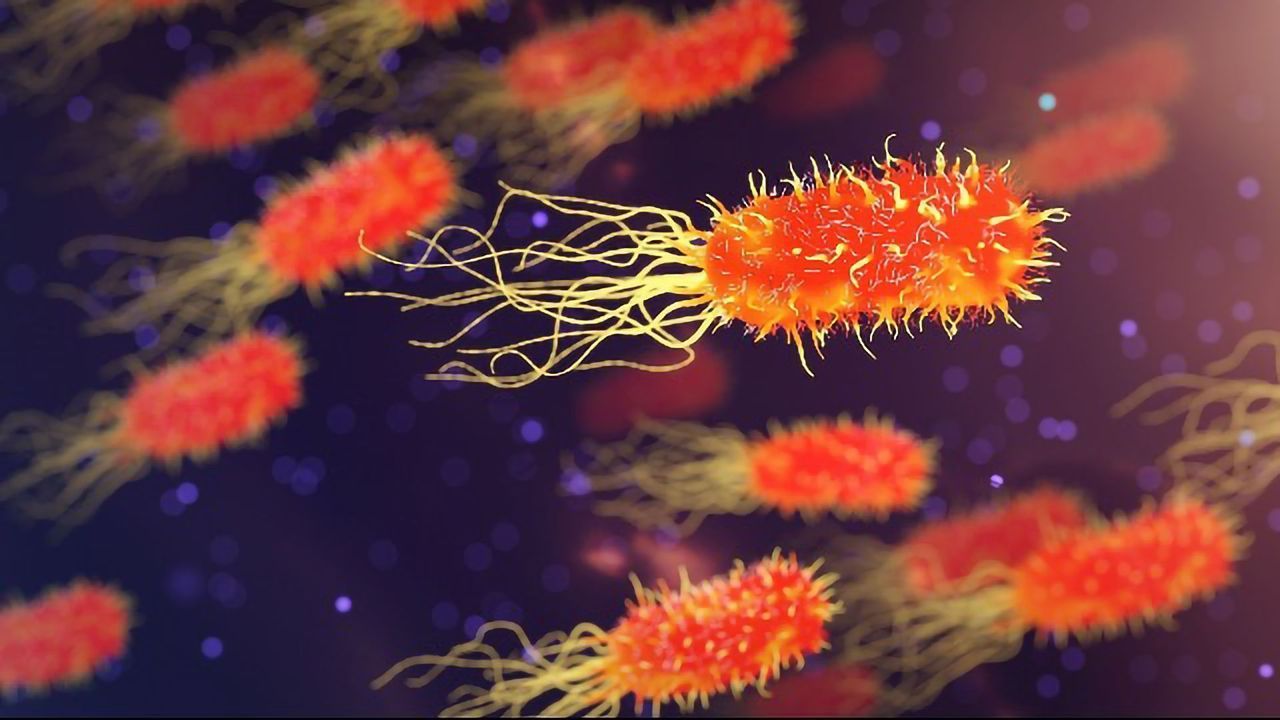Is Bacterial Acidity a Key To Tackle Antimicrobial Resistance?