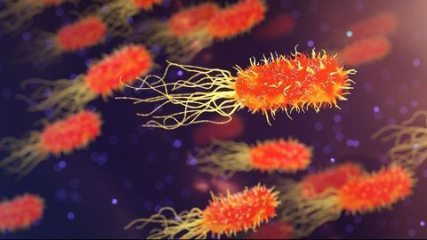 Is Bacterial Acidity a Key To Tackle Antimicrobial Resistance?