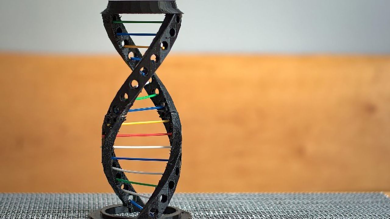 Gene Expression Control Mechanism May Have Immunity, Cancer Implications