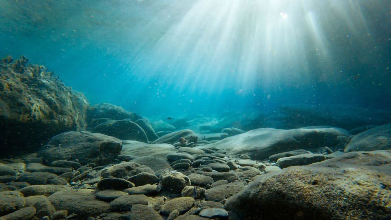 Sinking Organic Matter Is Altering Seafloor Records