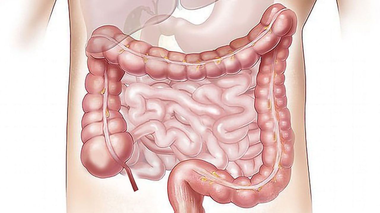 Boosting Drug Delivery With Ultrasound