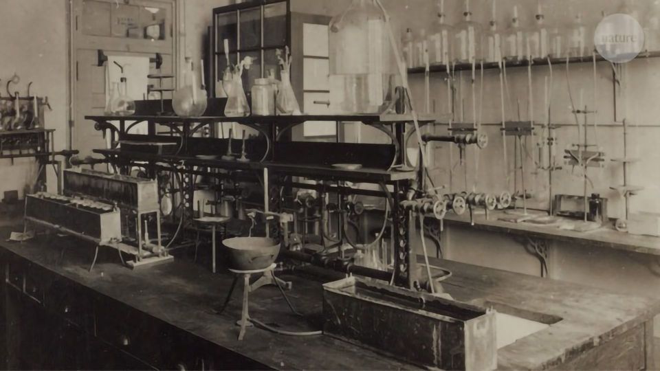 The Discovery of Insulin content piece image
