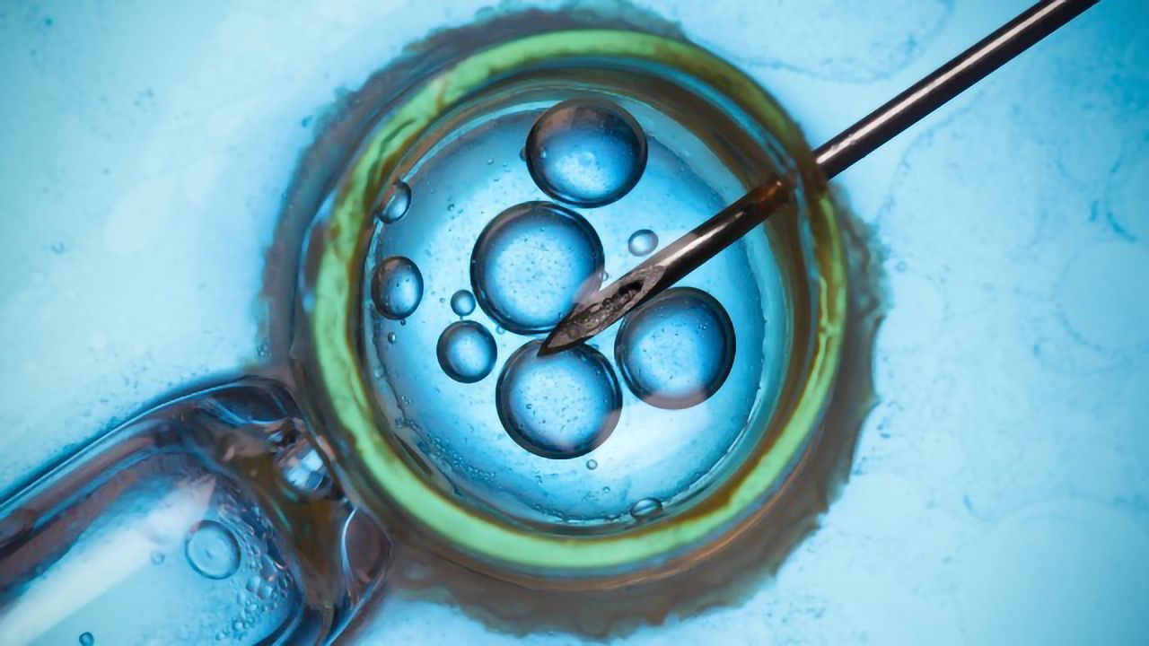 Anti-Müllerian Hormone (AMH) and Fertility Assessment