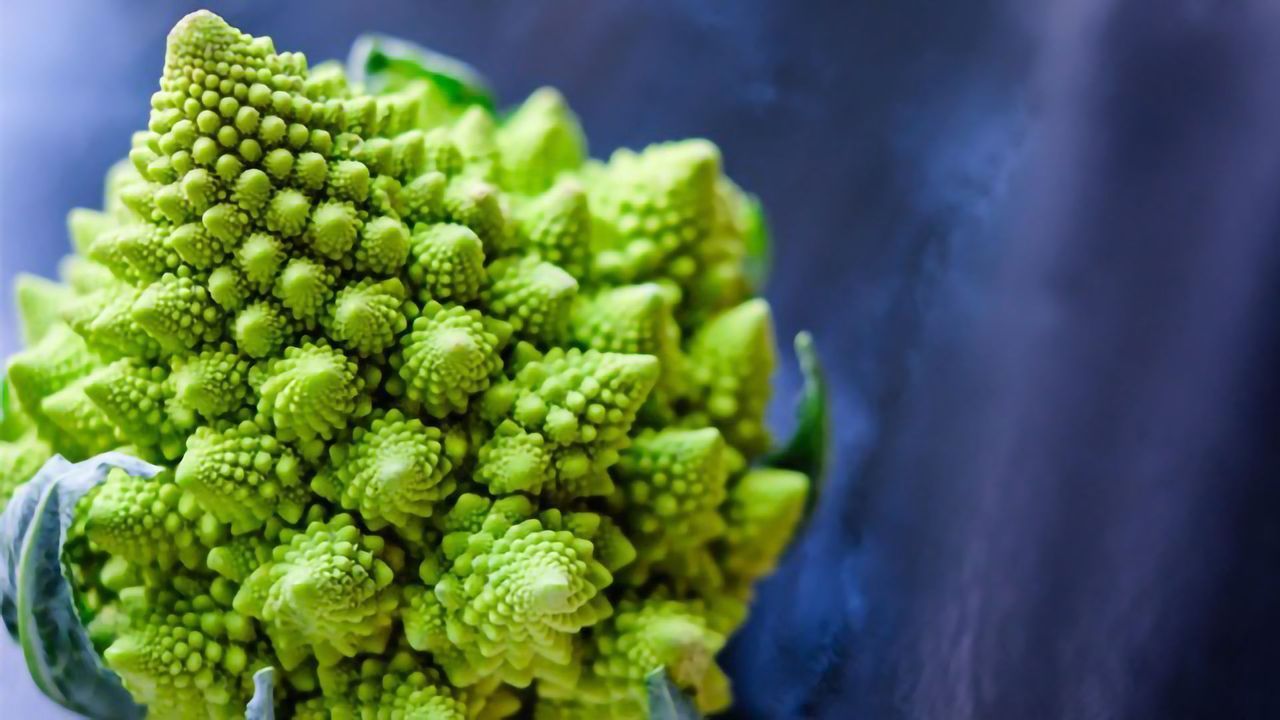 Unraveling the Romanesco Cauliflower’s Spiraling Structure