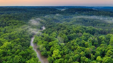 Tropical Forests’ Ability To Absorb Carbon Dioxide Is Decreasing