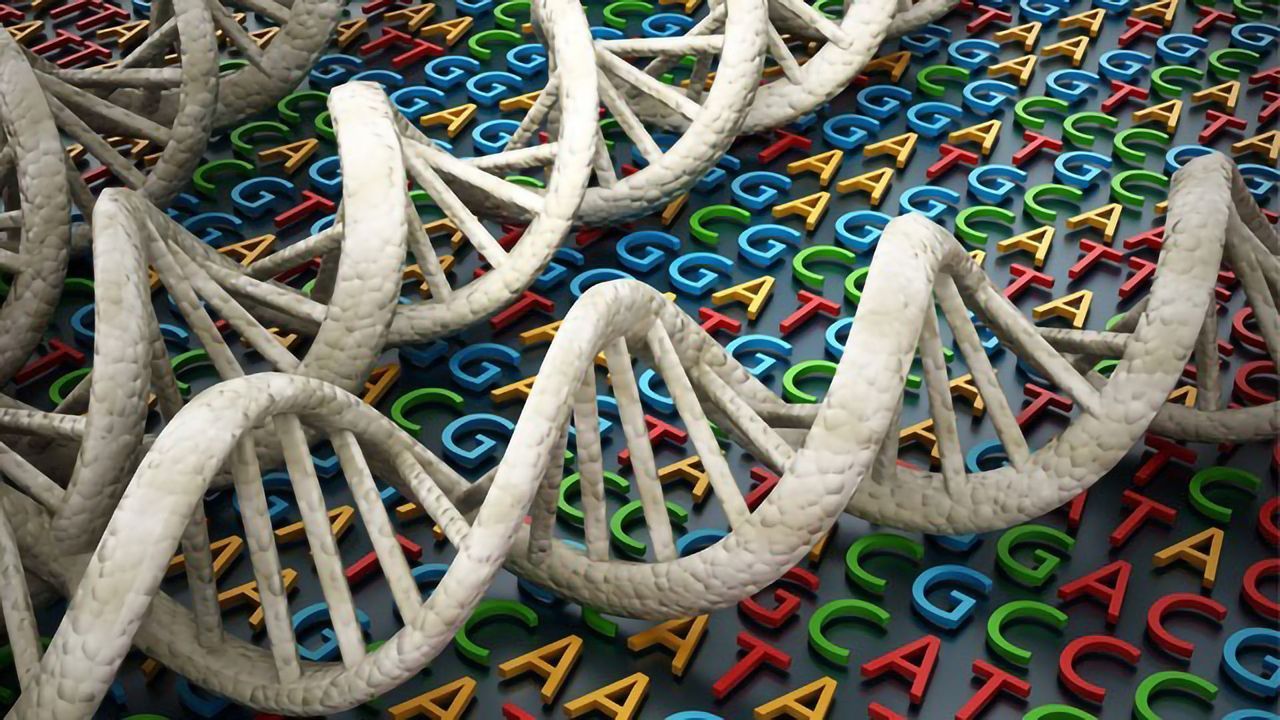 How To Optimize Next-Generation Sequencing Workflows