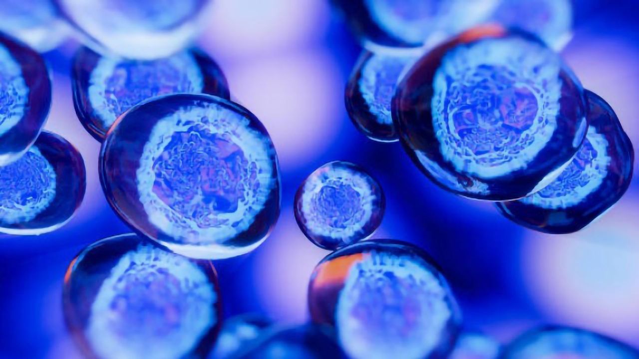GMP Ancillary Materials for Cell and Gene Therapy Manufacturing