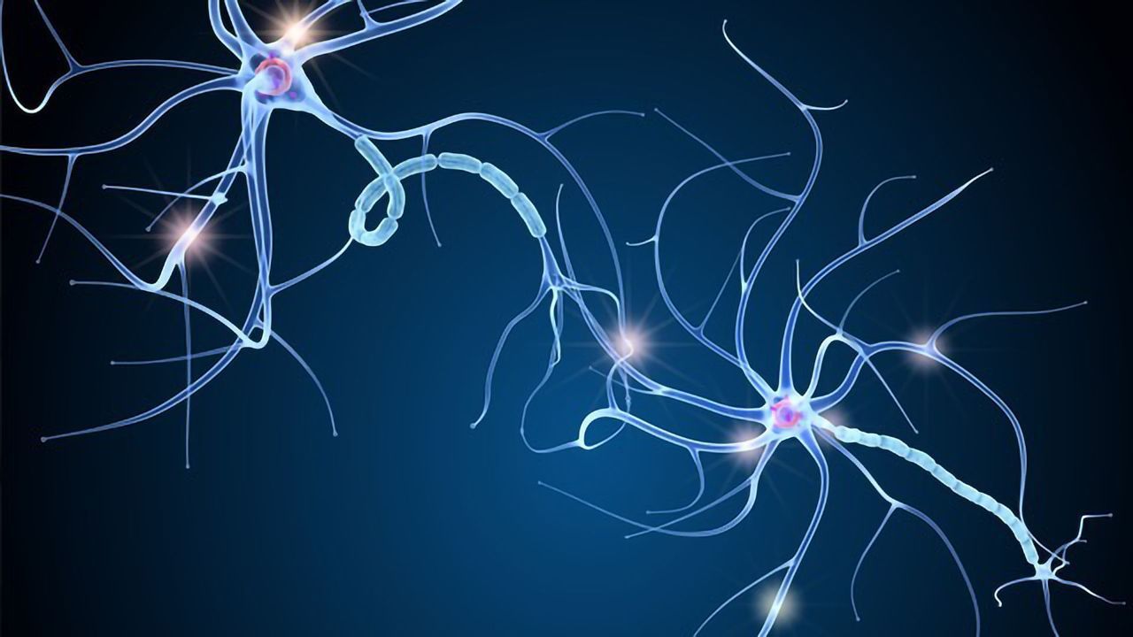 Reversing Age-Related Memory Loss in Mice