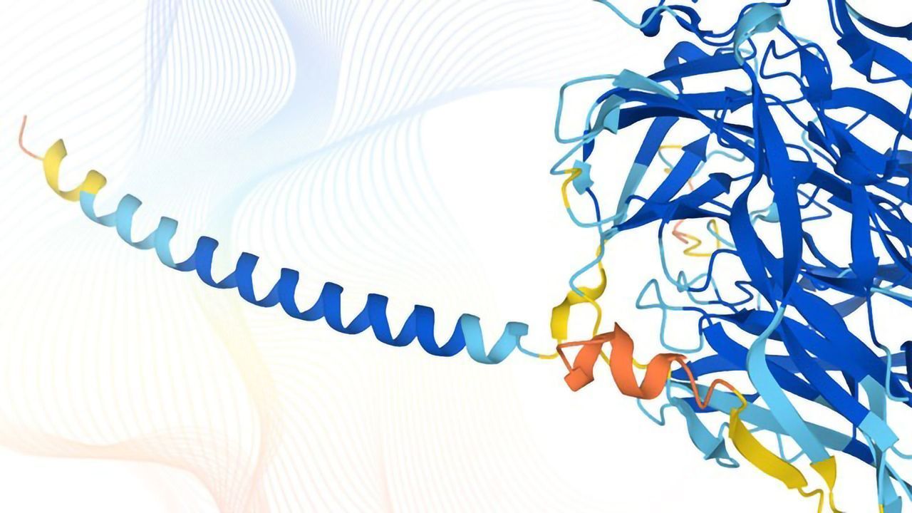 Database of Predicted 3D Human Protein Structures Released