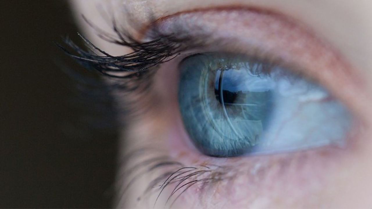 Gene Therapy Provides Neuroprotection and Prevents Vision Loss in Glaucoma Model