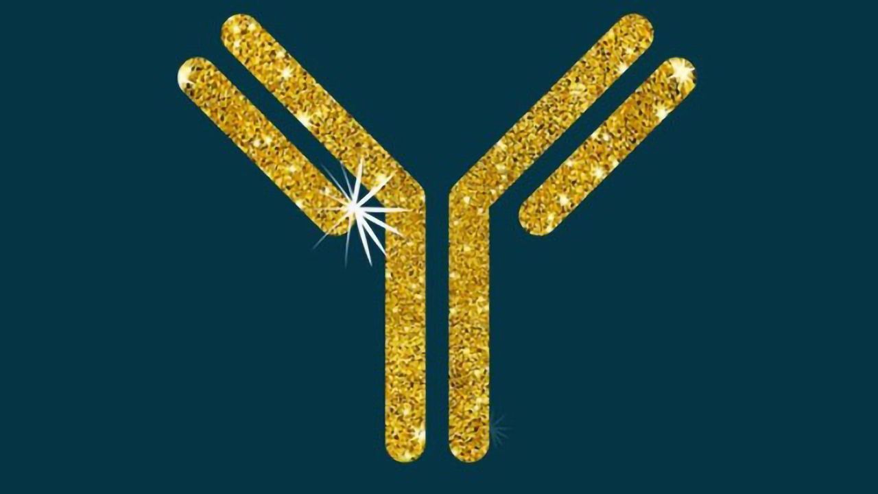 Supporting Indian Biotherapeutic Companies With Antibody Development