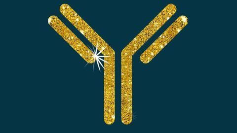 Supporting Indian Biotherapeutic Companies With Antibody Development