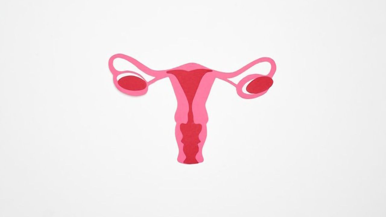 Organ-on-a-Chip Finds Crucial Connection Between Blood and Ovarian Cancers