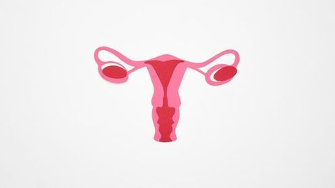 Organ-on-a-Chip Finds Crucial Connection Between Blood and Ovarian Cancers